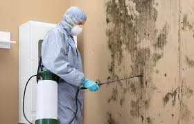 Best Biohazard Mold Removal  in Beaver Falls, PA